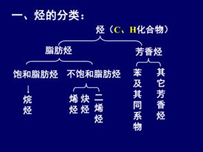 有機化學(xué),高二,上海,基礎知識