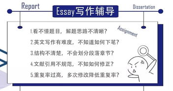 群文專(zhuān)業(yè)基礎理論知識