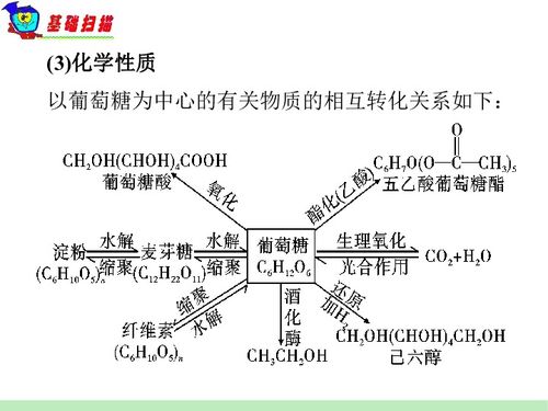 化學(xué)5-8單元基礎(chǔ)知識檢測