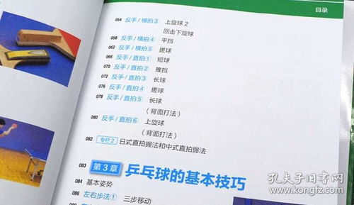 基礎知識,教案,兵兵球