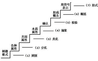 數學(xué)中的基礎知識概念