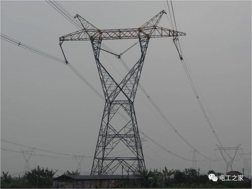 輸電基礎知識