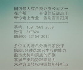 股票基礎知識書(shū)籍txt