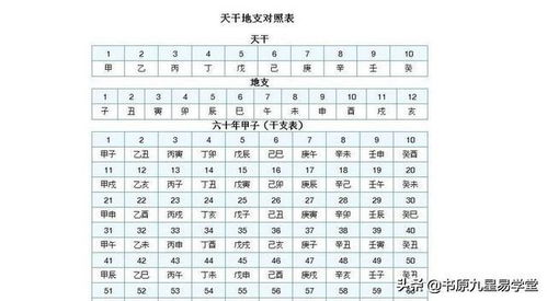 水墨先生的天干地支基礎(chǔ)知識