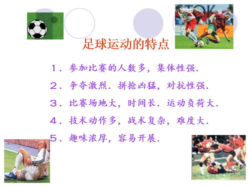 小學(xué)籃球基礎知識ppt,PPT基礎知識課件,皮膚基礎知識課件PPT