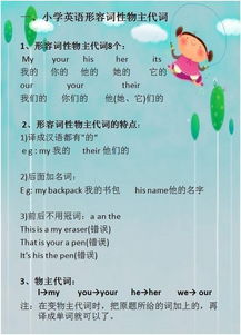 小學(xué)生如何補基礎知識