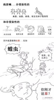 農藥基礎知識管理
