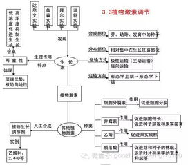 高二生物必修三基礎知識過(guò)關(guān)檢測
