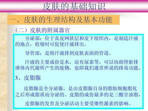基礎(chǔ)知識(shí),皮膚,最新