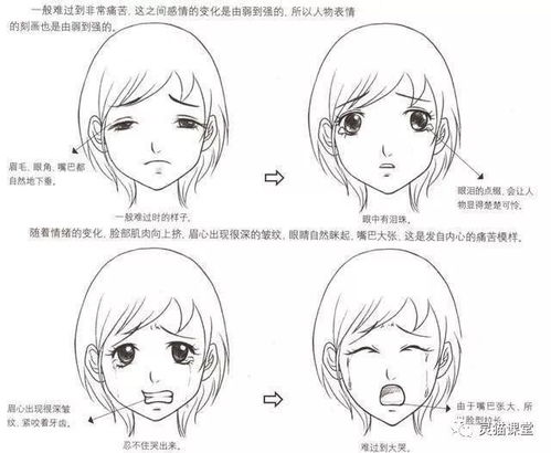 面部畫法基礎(chǔ)知識(shí)