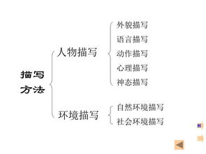 初中語文閱讀與寫作基礎(chǔ)知識