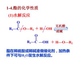 上海高二有機化學(xué)基礎知識