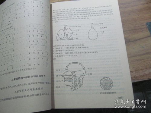 音樂基礎知識問卷