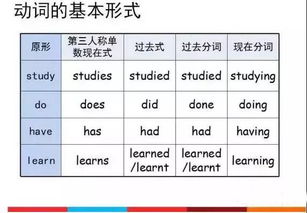 英語(yǔ)四級語(yǔ)法基礎知識大全,初中語(yǔ)文語(yǔ)法基礎知識大全,語(yǔ)文語(yǔ)法基礎知識大全