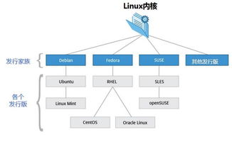 linux部署基礎知識