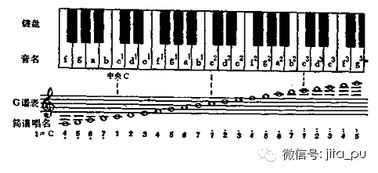樂譜基礎(chǔ)知識(shí)低音