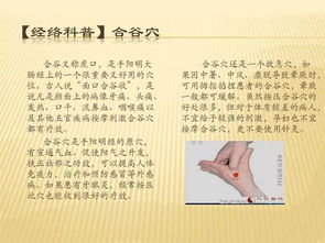 中醫(yī)通經(jīng)絡(luò)的基礎(chǔ)知識(shí)