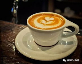 咖啡文化基本知識,咖啡的基礎(chǔ)知識,學咖啡的基礎(chǔ)知識