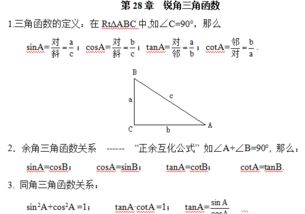 銳角,基礎(chǔ)知識(shí),函數(shù),回顧