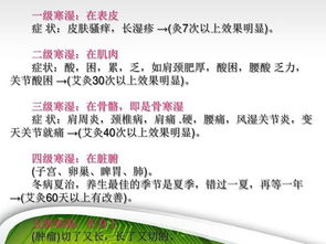 中藥基礎知識培訓課件