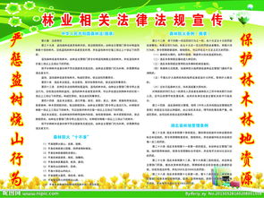 林業(yè)法律基礎知識