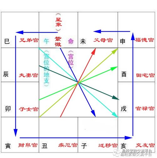 紫微斗數的一些基礎知識