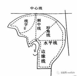 點(diǎn)線(xiàn)面美發(fā)基礎知識
