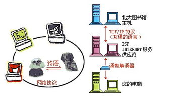 網(wǎng)絡(luò )基礎知識需要掌握什么協(xié)議