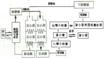 如何牢固基礎(chǔ)知識