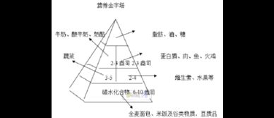 尊巴健身基礎(chǔ)理論知識(shí)
