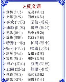 小學(xué)語(yǔ)文基礎知識反義詞