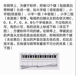 鋼琴基礎知識介紹