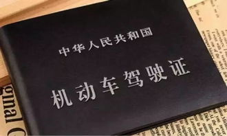 駕照科一基礎知識