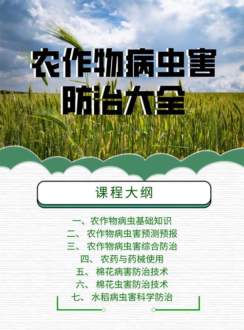 農作物害蟲(chóng)基礎知識
