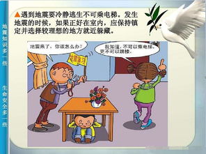 地震安全基礎(chǔ)知識
