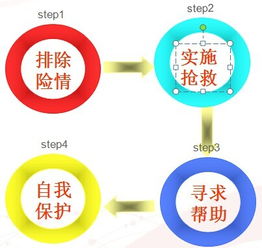 安全急救基礎知識培訓