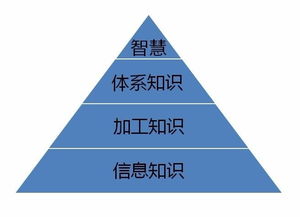 什么的知識基礎(chǔ)