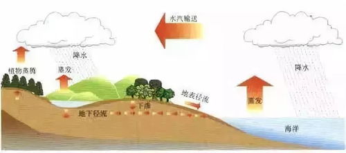 夯實(shí)基礎就是注重學(xué)生基礎知識