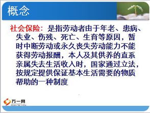 保險基礎知識第360頁