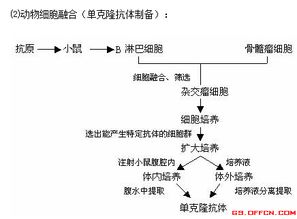 歸納,基礎(chǔ)知識(shí),重點(diǎn)