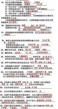 知識(shí)點(diǎn),填空,基礎(chǔ)知識(shí),生物