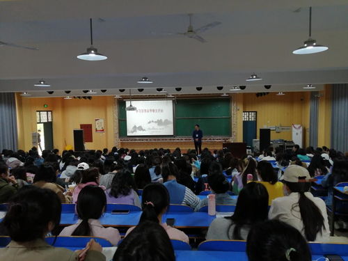 有關(guān)甲骨文的基礎知識講座
