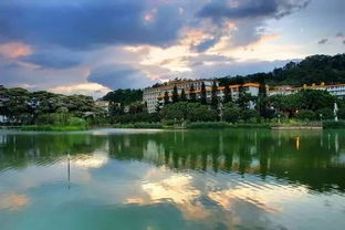 福建農林大學(xué)345林業(yè)基礎知識綜合