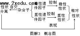 高二生物基礎(chǔ)知識過關(guān)