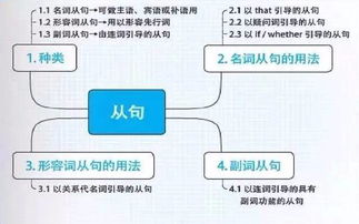 高中英語(yǔ)語(yǔ)法基礎知識