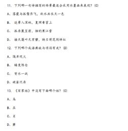 基礎知識,語(yǔ)文,提升,教學(xué)