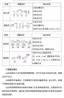 植物激素調節基礎知識
