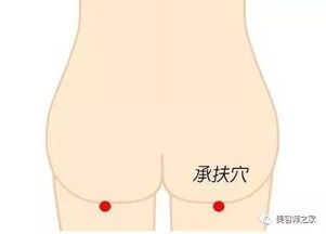 設備維修與保養基礎知識,工程機械保養的基礎知識,珠寶首飾的保養基礎知識?