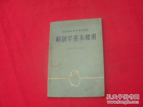 解剖基礎知識是什么