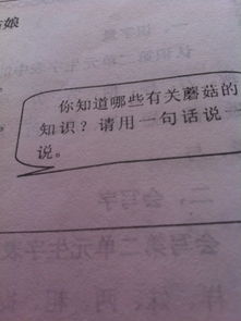蘑菇的基礎知識